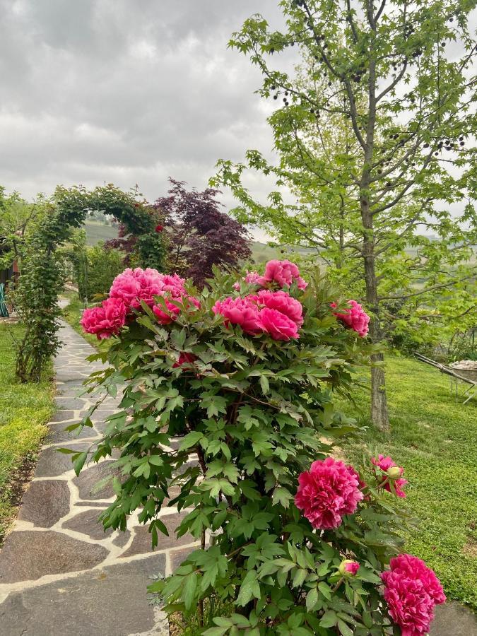 Residence Delle Rose Barolo Exterior photo